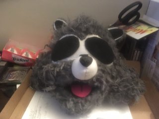 Raccoon Head build, step 3