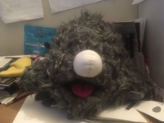 Raccoon Head build, step 2