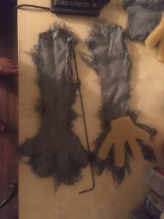 Raccoon Hands
